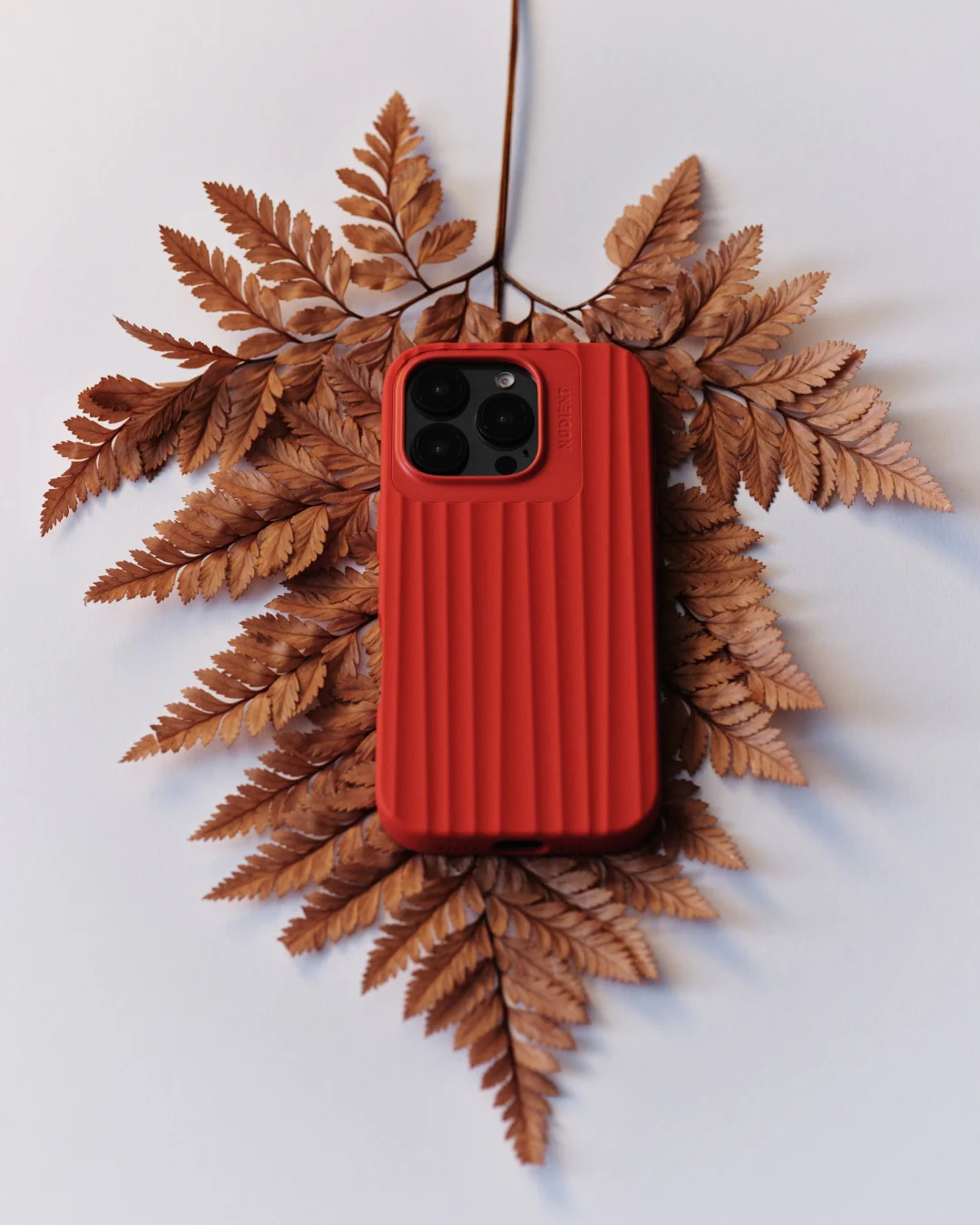 Miniatuur 2