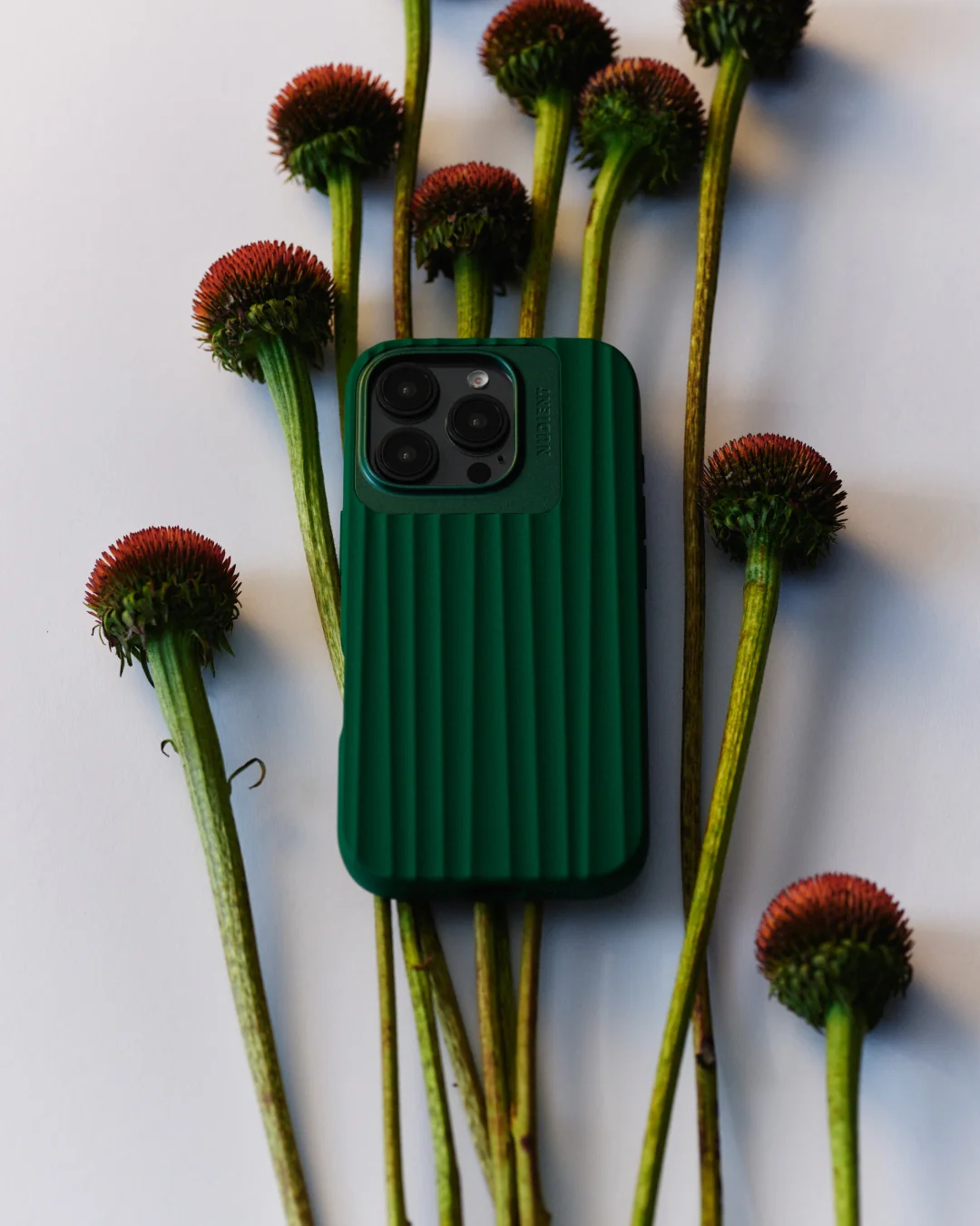 Miniatuur 2